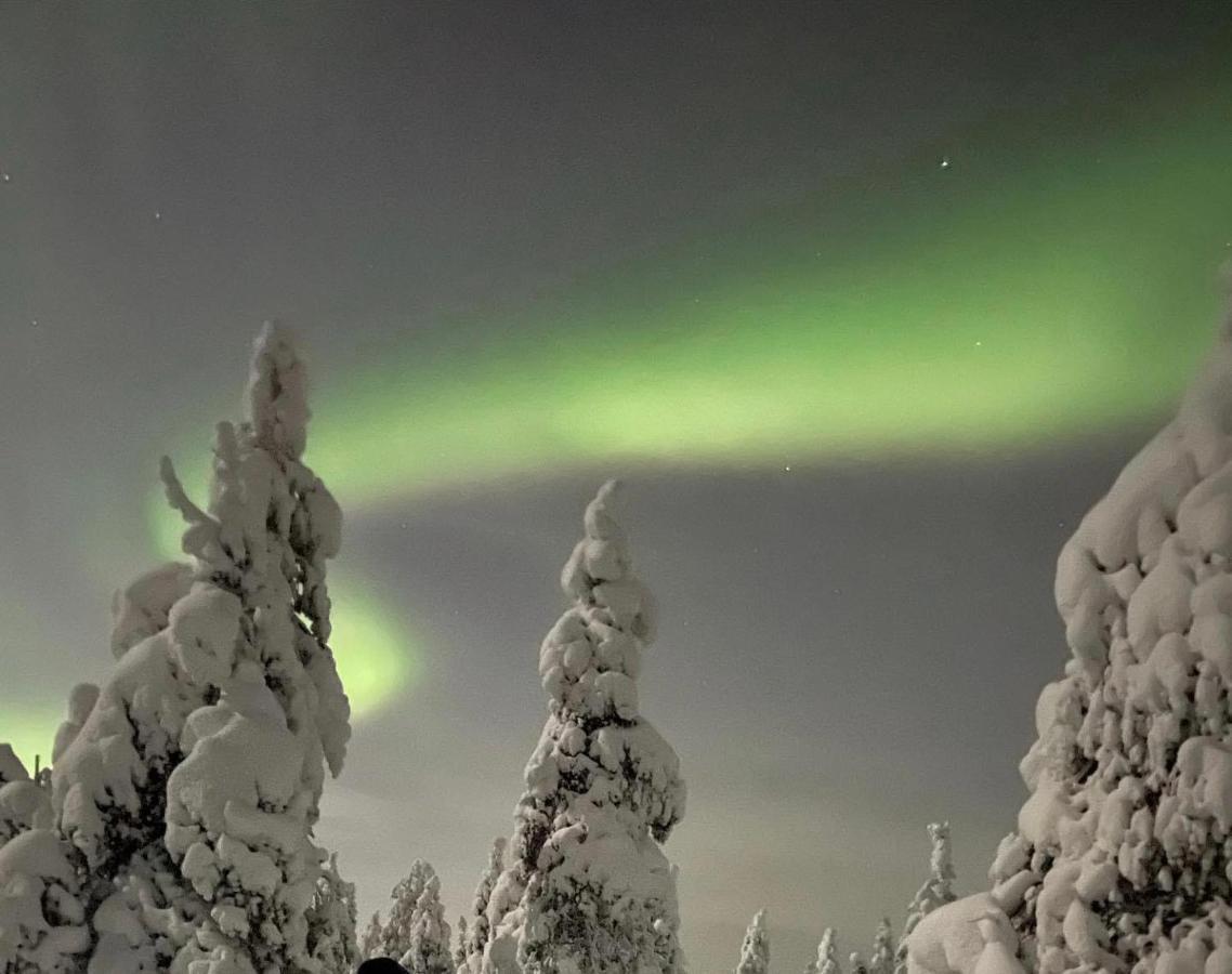 Sofia Rovaniemi City Apartment Экстерьер фото